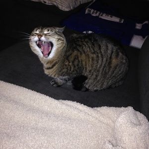 Meet your Posher, Kat